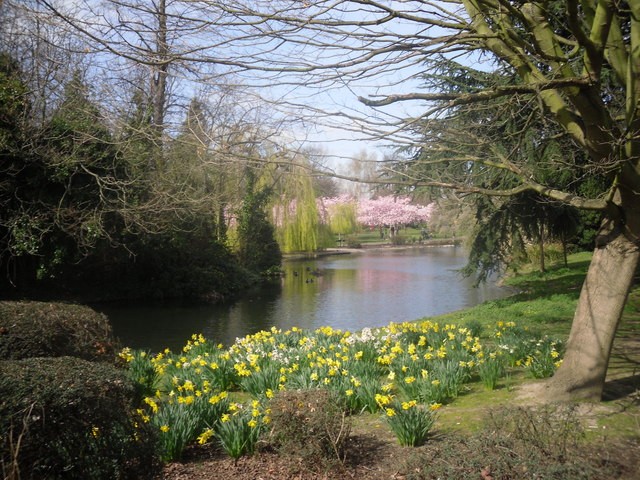 Lake_in_Ravenscourt_Park_-_geograph.org.uk_-_1231556